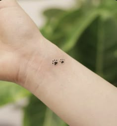 a person's arm with two small paw prints on it and a plant in the background