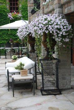 some flowers are in large vases next to chairs and an umbrella on the patio