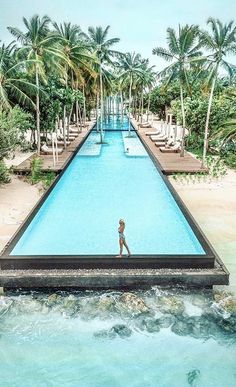 a man is standing at the end of a long swimming pool surrounded by palm trees