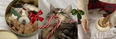 there is a cat that is laying down next to some cookies and candy canes