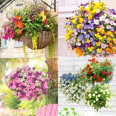 four different types of hanging baskets filled with flowers