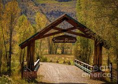 the entrance to stone ranch in autumn greeting card by panoramic images, inc