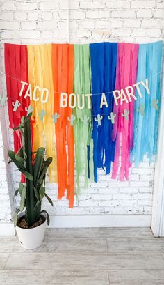 taco bout a party banner hanging on a brick wall next to a potted cactus