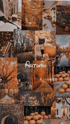 a collage of photos with pumpkins, trees and other things in the background