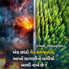 ANK Thoughts, ank, ank thought, ank suvichar, gujarati suvichar, best suvichar, best thoughts, latest suvichar, latest thoughts, ank thoughts, hd wallpapers, full hd, hd images, hd photos, gujju Best Thoughts, Amazon Forest, Amazon Rainforest, Hd Images, Hd Wallpapers, Hd Photos, Full Hd, Hd Wallpaper