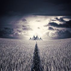 an image of a tent in the middle of a wheat field with dark clouds above it