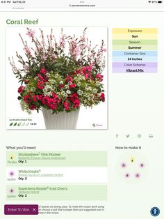 an image of a website page with flowers on it