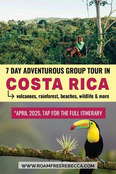 an advertisement for the costa rica tour with a toucan bird sitting on a branch