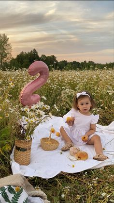 Picnic First Birthday Photoshoot, 2 Year Bday Photo Shoot, 2nd Birthday Pictures Outside, Toddler Picnic Photoshoot, Second Bday Photoshoot, Toddler 2nd Birthday Photoshoot, 2 Year Birthday Photoshoot Outdoor, 2nd Birthday Outdoor Photo Shoot, Baby Girl 2nd Birthday Photoshooting