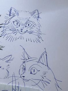 two drawings of cats are shown on a piece of paper, one is drawn in blue ink