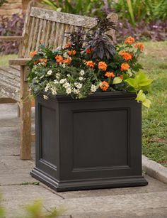 a wooden bench sitting next to a black planter filled with orange and white flowers