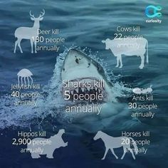 the shark is in the water with its mouth open and it's numbers are shown