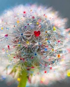 a dandelion with lots of tiny colorful beads on it's head and red heart in the center