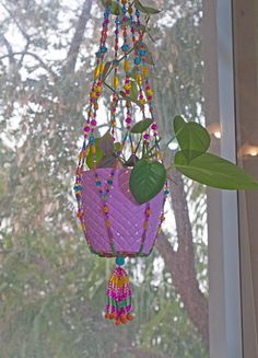 a plant hanging from a window sill