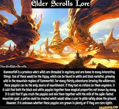 an advertisement for elder scrolls lore, with the caption above it that says elder scrolls lore