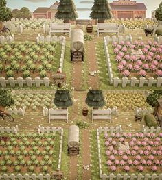 an aerial view of a garden with many different types of flowers