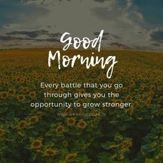 a sunflower field with the words, good morning every battle that you go through gives you