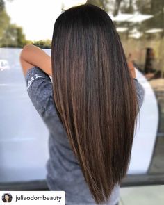 Strawberry Brown Highlights Brown Hair, Fall Hair Straight, Balayage For Dark Brown Hair Straight, Fall Brown Hair Color, Hair Color For Fall, Hair Color Guide, Fall Hair Color Trends