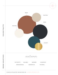 an info sheet with different colors and shapes for the brand's logo, including circles