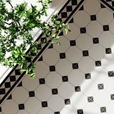 a black and white tiled floor with green leaves