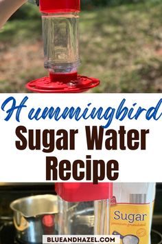 a hummingbird feeder with the words hummingbird sugar water recipe above it