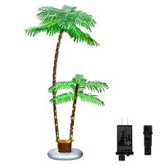 a small palm tree next to a battery