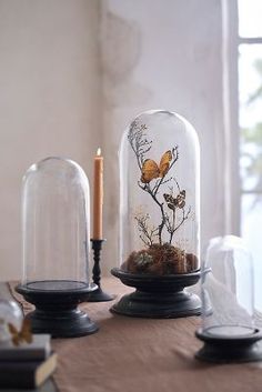 two glass cloches with plants in them on top of a table next to a candle