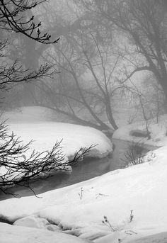 Winter Schnee, Have Inspiration, Seasons Winter, Love Winter, Winter Magic, Winter Scenery, Winter Beauty, Snow Scenes, Snow And Ice