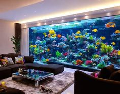 a living room filled with lots of furniture and a large fish tank on the wall