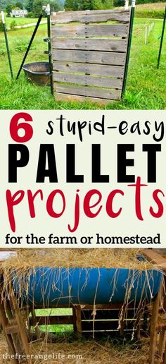 Do you use pallets around your home and garden? Here are 6 quick and easy pallet projects. No disassembling required! Easy Pallet Projects, Homestead Projects, Outdoor Pallet Projects, Diy Wood Pallet Projects, Pallet Projects Easy, Used Pallets, Wood Projects For Beginners, Wooden Pallet Furniture, Wooden Pallet Projects