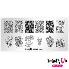 Whats Up Nails / Growing Beauty Nail Stamping Plates Spring Nails Floral Flowers Stamping Nail Polish, Up Nails, Nail Vinyls, Nail Tape, Nail Stamping Plates, Chandler Az, Stamping Nail Art, Plastic Card, Beautiful Nail Designs