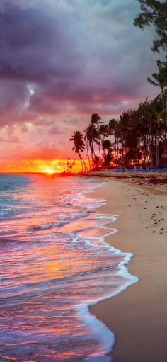 the sun is setting over an ocean with palm trees in the foreground and footprints in the sand