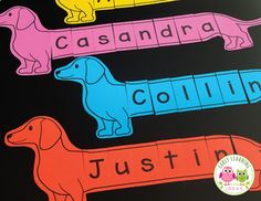 four different colored dachshunds on a black background with the word's name