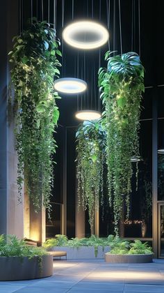 some plants are hanging from the ceiling in front of a building at night with lights above them