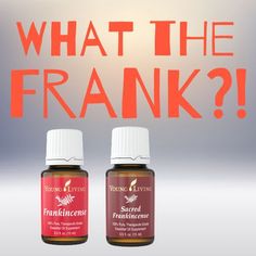 Sacred Frankincense Young Living, Frankincense Essential Oil Benefits, Frankincense Essential Oil Uses, Young Living Frankincense, Essential Oil Benefits, Frankincense Essential Oil, Essential Oil Diffuser Blends