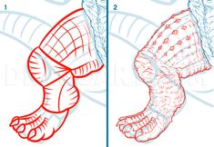 how to draw an animal's head and foot