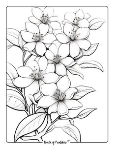 a black and white drawing of flowers