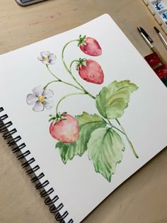 a watercolor painting of strawberries and flowers