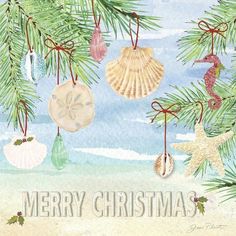 a christmas card with seashells and starfish hanging from a pine tree branch