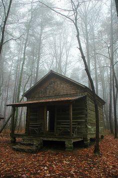 an old log cabin in the woods on a foggy day with trees and leaves