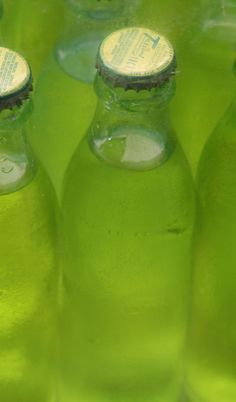 several green soda bottles lined up in rows