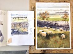 an open book with watercolors on it next to a drawing of sheep in a field