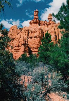 trees and rocks in the background under a cloudy blue sky