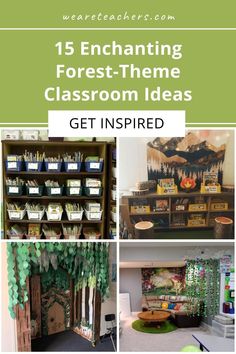 an assortment of forest themed classroom ideas