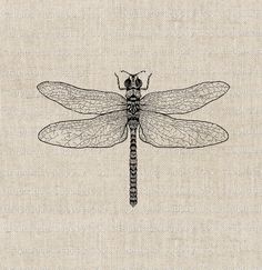 a drawing of a dragonfly sitting on top of a piece of fabric with the words,