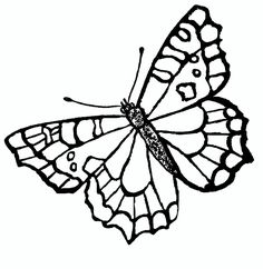 a black and white drawing of a butterfly