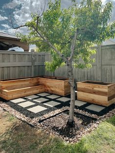 a small tree sitting in the middle of a yard next to two wooden planters