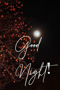 the words good night are written in white on a black background with oranges hanging from a tree