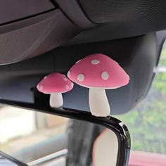 two pink mushrooms sitting on top of a car mirror