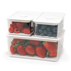 The #1 Fruit Saver Container Introducing the ultimate solution to keep your fruits and vegetables fresh and crisp for longer ? the TidyMind Organizer Bin! Do you find yourself throwing out wilted lettuce, mushy strawberries or spoiled broccoli all too often? Are you tired of the never-ending grocery runs and wasting money on produce that doesn't last? Our fridge container is here to help! With its innovative design, this container ensures that your fruits and vegetables stay fresh and vibrant fo Washing Veggies, Large Storage Containers, Refrigerator Organizer, Produce Storage, Organizer Bins, Store Snacks, Fridge Organisers, Fridge Storage, Refrigerator Organization